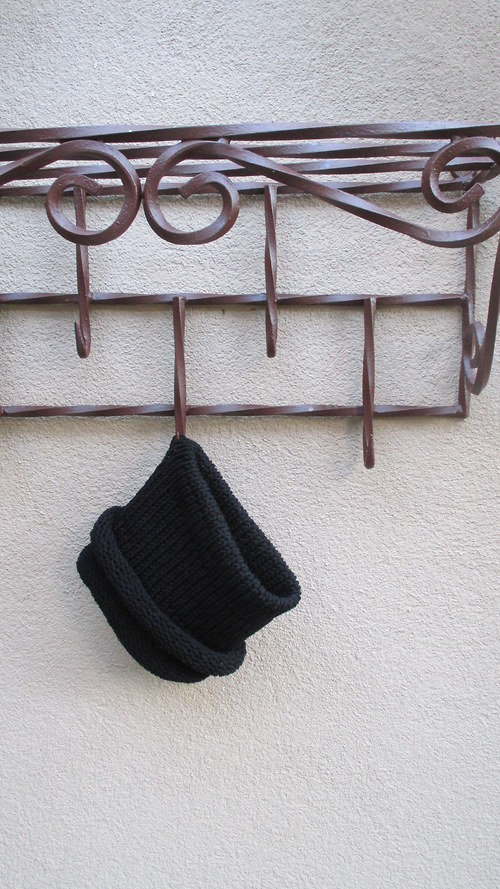 Černý nákrčník — foto 2
