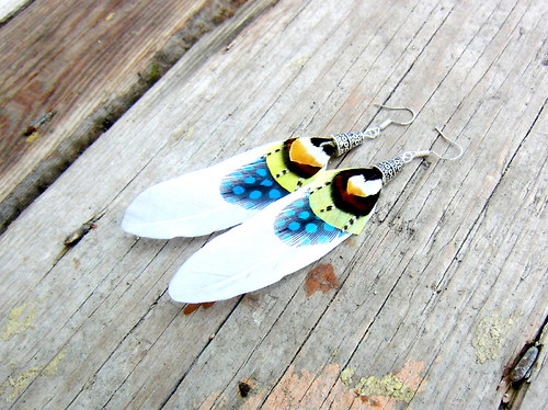 White wings — foto 2