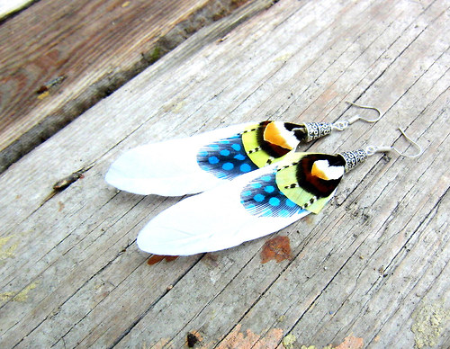 White wings — foto 3