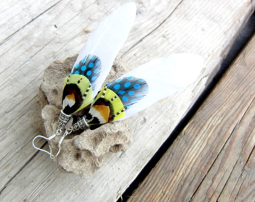 White wings — foto 4