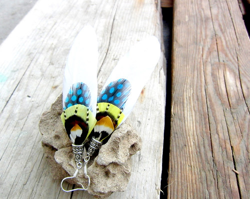 White wings — foto 5