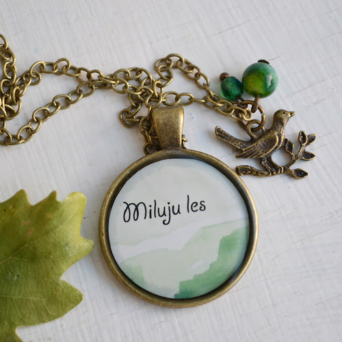 Miluju les... — foto 2