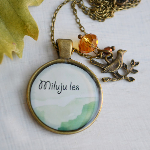 Miluju les... — foto 3