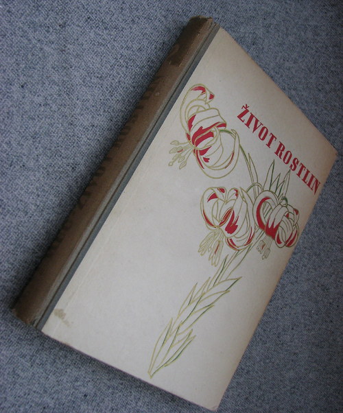 Život rostlin, B. Němec, 1941 — foto 3