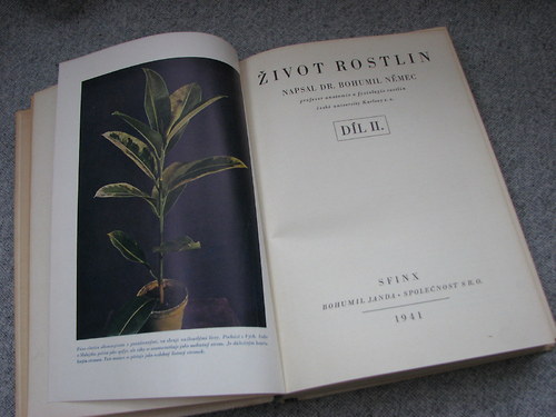 Život rostlin, B. Němec, 1941 — foto 4