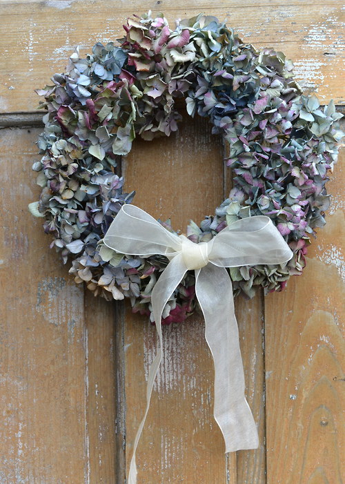 Miluji hortenzie — foto 6