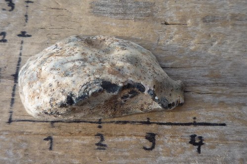 Peříčkový achát P4723 — foto 2