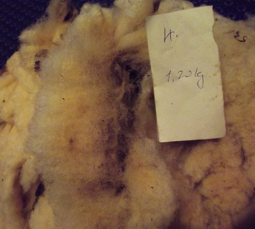 Vlnění .... (4) — foto 2