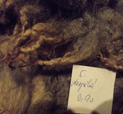 Romanovské vlnění ... (5) — foto 4