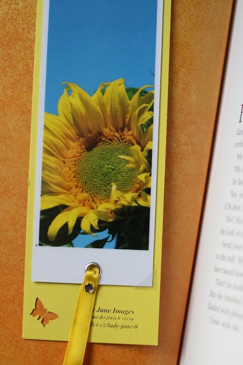 Sunflower — foto 2