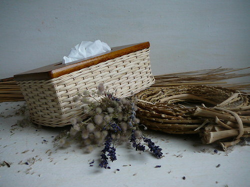 Kapesníkovník přírodní - hnědé víko — foto 2