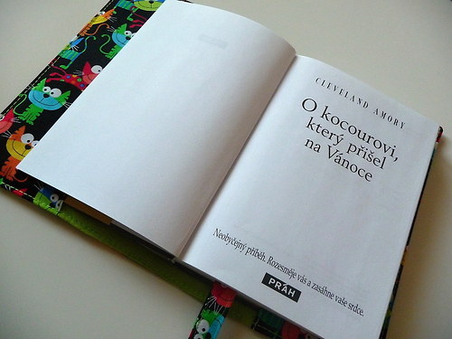 Obal pro kočku i kocoura II. — foto 3