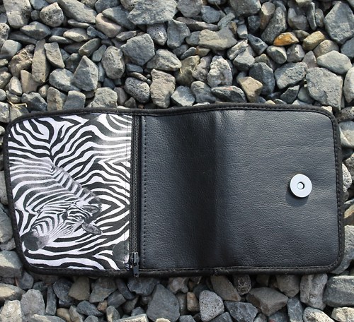 Zebra II — foto 4