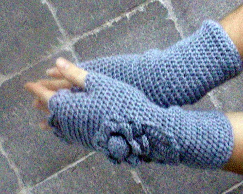 Bezprsťáčky stříbrošedé — foto 2