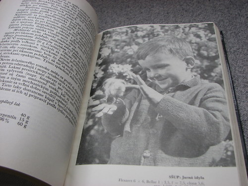 Fotografia 1 , L. Absolon, 1961 — foto 2