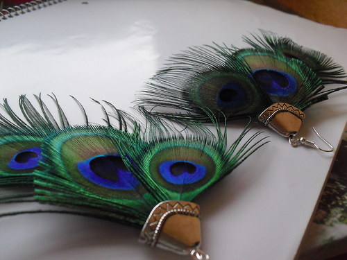 Peacock in night — foto 2