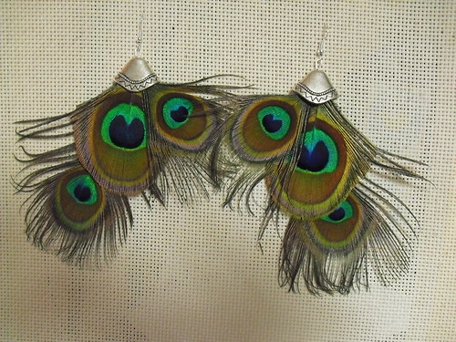 Peacock in night — foto 3