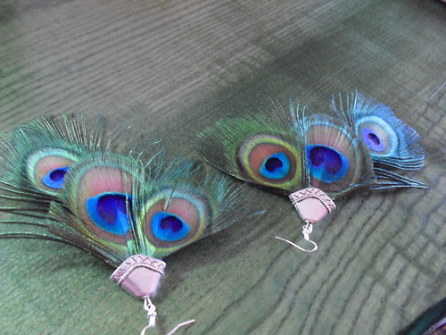 Peacock in night — foto 4