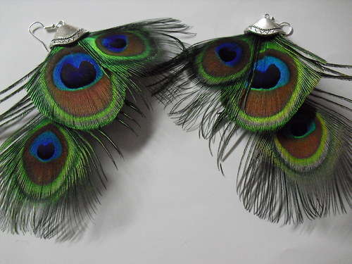 Peacock in night — foto 6