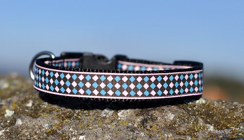 Obojek károvaný modrý 25 - 35 cm — foto 2