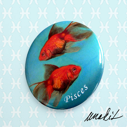 Ryby (Pisces) - zrcátko — foto 3