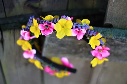 ...vôňa levandule... — foto 5
