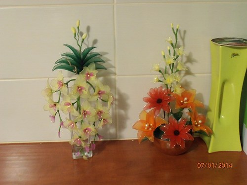Orchidej na zavěšení — foto 2