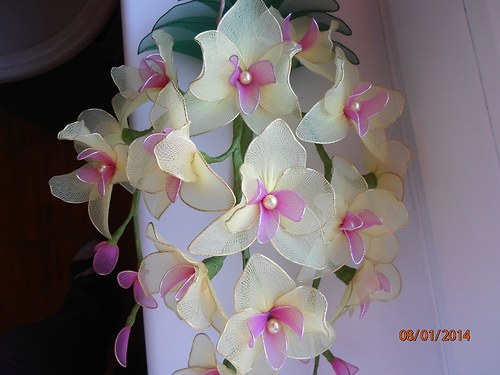 Orchidej na zavěšení — foto 4