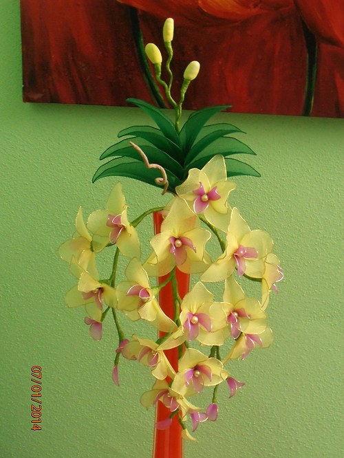 Orchidej na zavěšení — foto 5