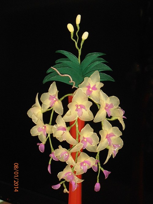 Orchidej na zavěšení — foto 6