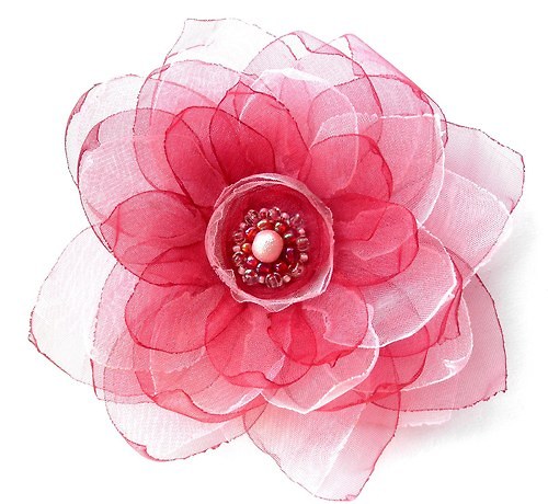 Leknín "Horké maliny" , 12 cm — foto 2