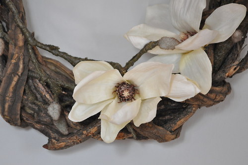 Obr s magnolií — foto 5