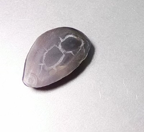 Septárie 969 — foto 2