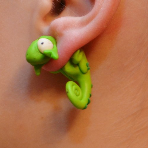 Chameleon — foto 2