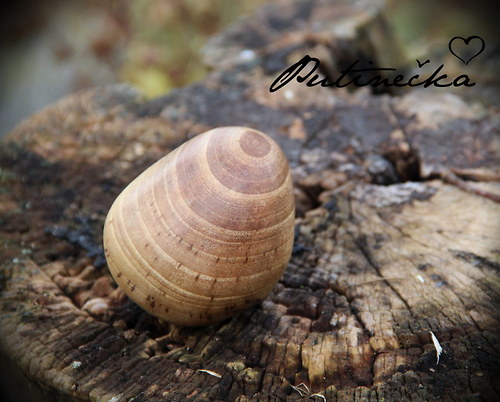 Dřevěné mazlení - ořechové — foto 3