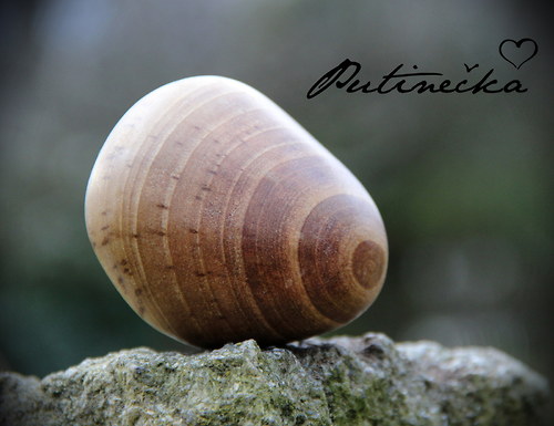 Dřevěné mazlení - ořechové — foto 6