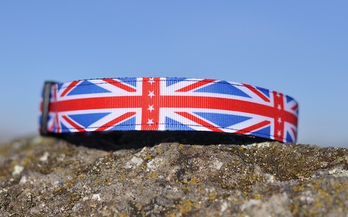 Obojek britský 2,5 cm šířka — foto 3