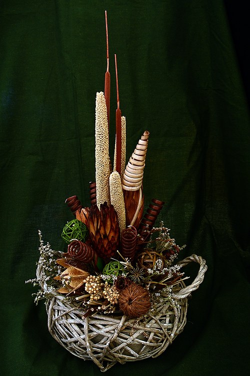 Sušiňák — foto 2