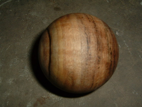 Další ořechová — foto 2