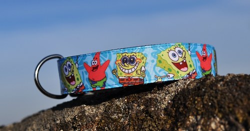 Obojek veselý Spongebob 2,5 cm šíře — foto 2
