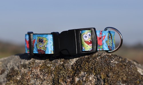 Obojek veselý Spongebob 2,5 cm šíře — foto 3