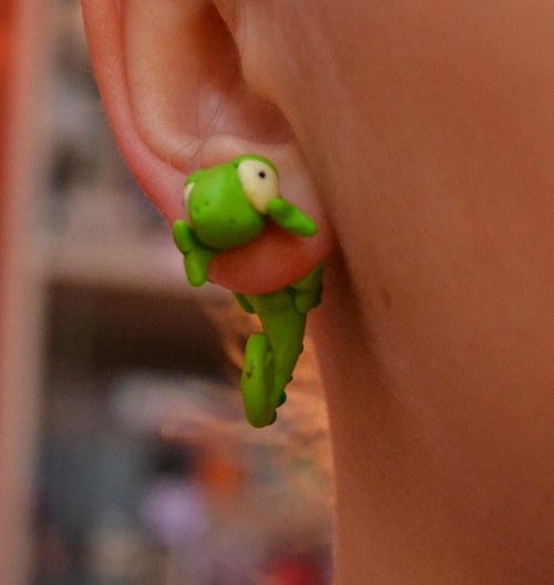 Chameleon — foto 3