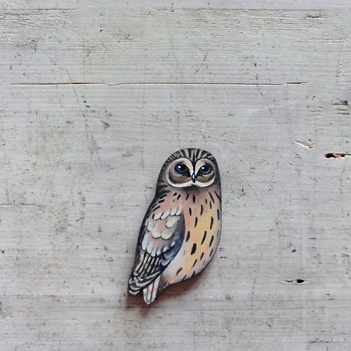 ,,BROŽ - Puštík obecný ( Strix aluco) — foto 2
