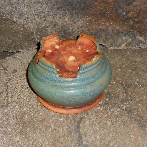 BONSAI MISKA 13,5x8,5 cm. — foto 4