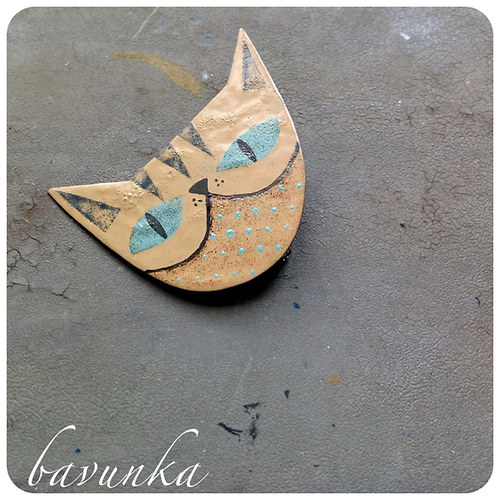 Kočka — foto 2