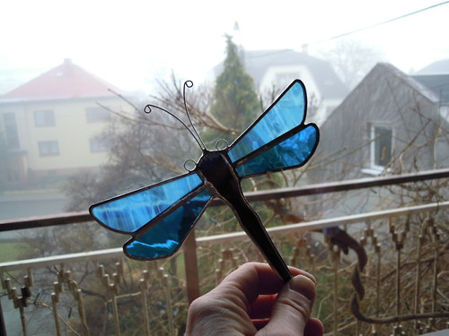Vážky I. — foto 3