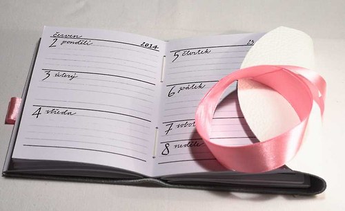 Diář 2014 Viola 6. — foto 3