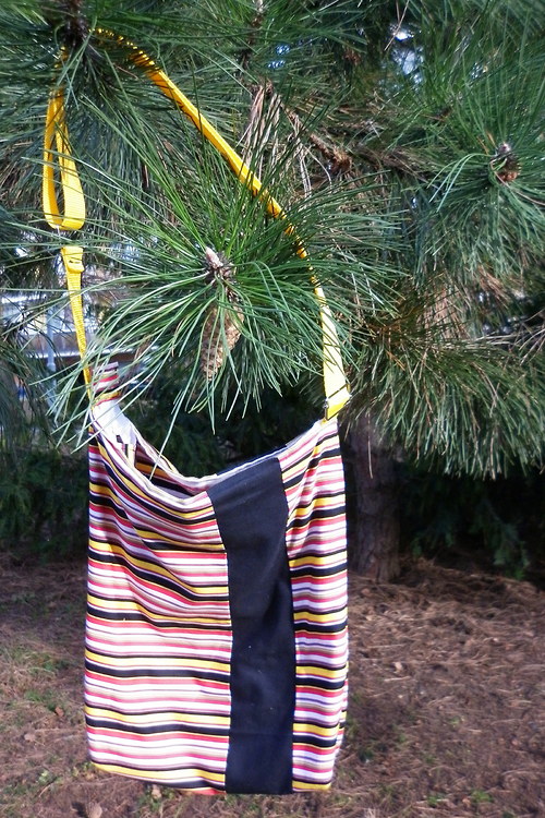 Zebra v barevném vydání — foto 2