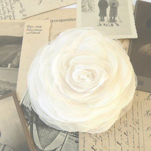 Where the wild roses grow — foto 2