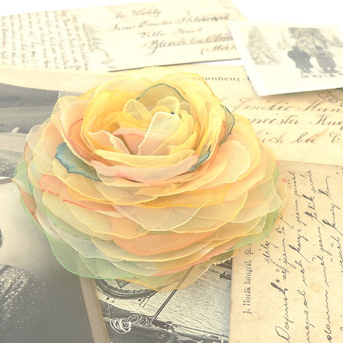 Where the wild roses grow — foto 2